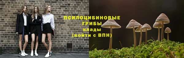 дживик Абаза