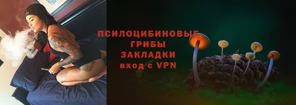 гидра Алексин