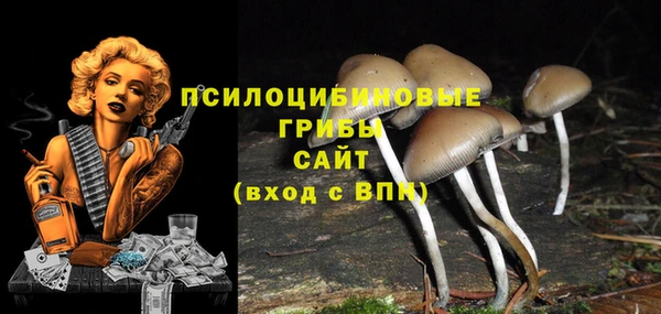 дживик Абаза