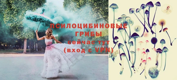 дживик Абаза