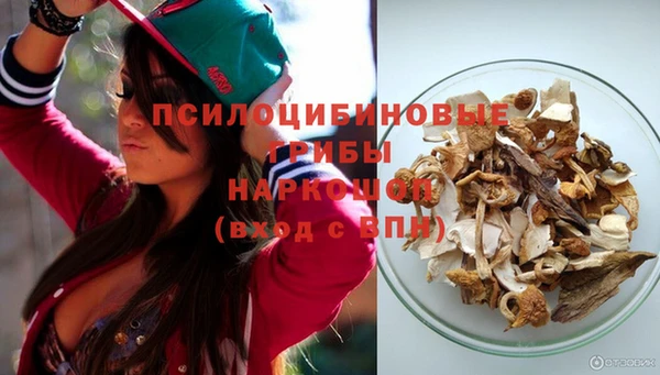 стаф Абдулино