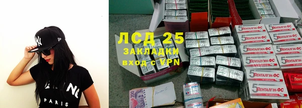 гидра Алексин